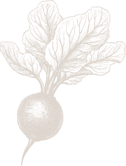 Légumes | Les Serres de Ripan