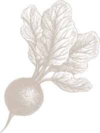 Légumes | Les Serres de Ripan