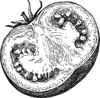 Légumes | Les Serres de Ripan